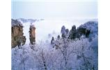 春節(jié)旅游：張家界、袁家界、天子山、寶峰湖/黃龍洞度假二晚三日游